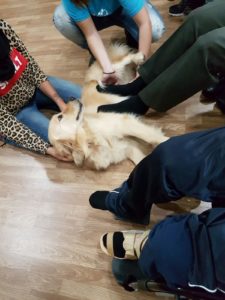 Taller terapia asistida canina en Murcia - Dacemur