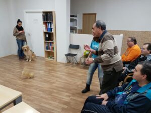 Taller terapia asistida canina en Murcia - Dacemur