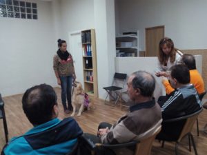 Taller terapia asistida canina en Murcia - Dacemur